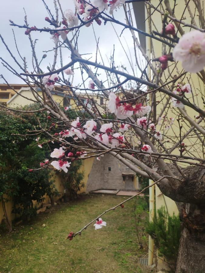 Il Borgo Del Sole * Villasimius