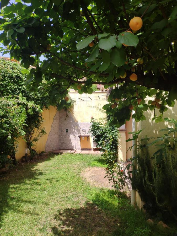 Il Borgo Del Sole Holiday home Villasimius
